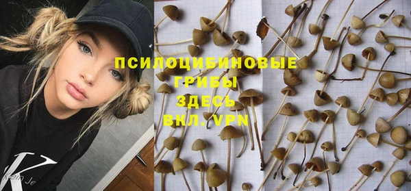 мет Горнозаводск