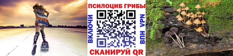 Галлюциногенные грибы Magic Shrooms  закладки  Шелехов 